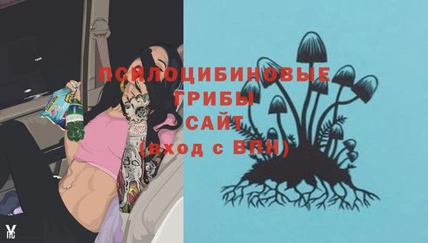 а пвп мука Переславль-Залесский